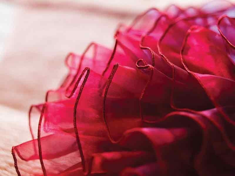 Overlock Veritas Elastica II Veritas Overlocks Wiking Polska - 5