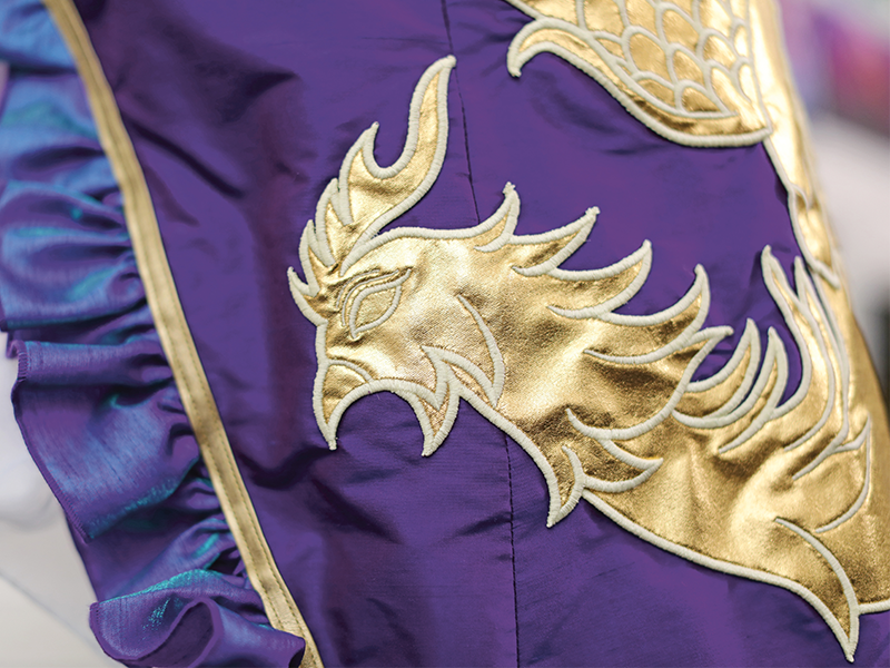 Hafciarka  Bernina B570QE. Bernina Hafciarki Wiking Polska - 5