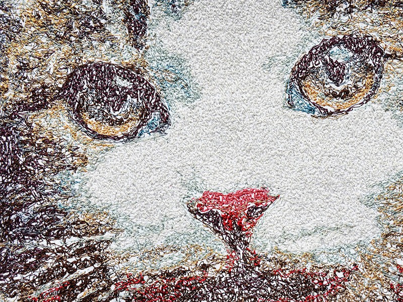 Повна версія Bernina Creator v 9-повна версія Bernina Програми для вишивання Wiking Po Повна версія Bernina Creator v 9-повна версія Bernina Програми для вишивання Wiking Po