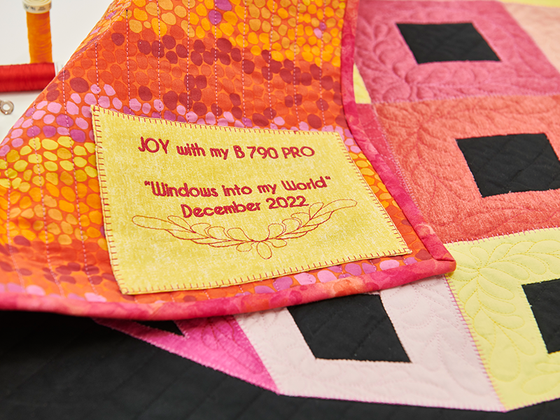 Вишивальна машина Bernina B790 Pro. | Вишивальні машини BERNINA - 17 Вишивальна машина Bernina B790 Pro. | Вишивальні машини BERNINA - 17